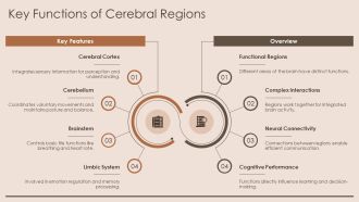 Brain Sagittal View Cerebrum Cerebellum Brainstem Overview PPT Example AT Engaging Impressive