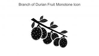 Branch Of Durian Fruit Monotone Icon In Powerpoint Pptx Png And Editable Eps Format