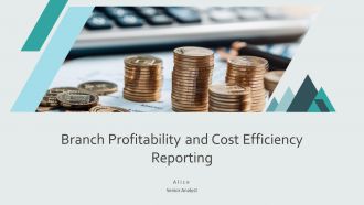 Branch Profitability And Cost Efficiency Reporting PPT Summary AT