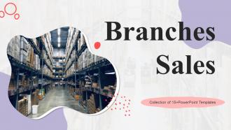 Branches Sales Powerpoint Ppt Template Bundles