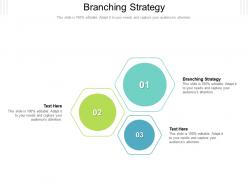 Branching strategy ppt powerpoint presentation ideas example topics cpb
