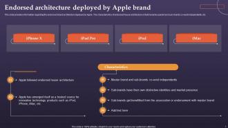 Brand Architecture And Archetype Associated With Apple Ppt Template Bundles Branding MD Ideas Compatible