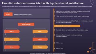Brand Architecture And Archetype Associated With Apple Ppt Template Bundles Branding MD Good Compatible