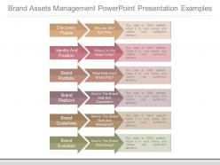 Brand assets management powerpoint presentation examples