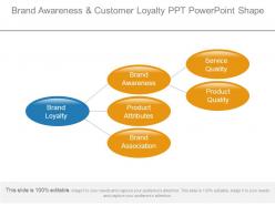 Brand awareness and customer loyalty ppt powerpoint shape