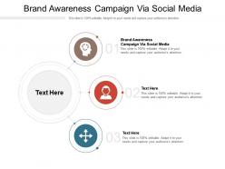 Brand awareness campaign via social media ppt powerpoint presentation cpb