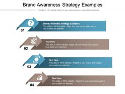 Brand awareness strategy examples ppt powerpoint presentation professional cpb