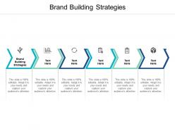 Brand building strategies ppt powerpoint presentation model icon cpb