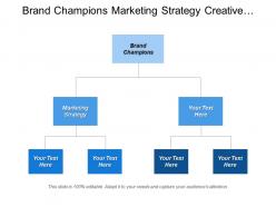Brand champions marketing strategy creative strategy market studies