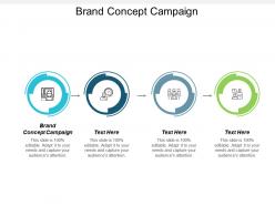 Brand concept campaign ppt powerpoint presentation file outline cpb