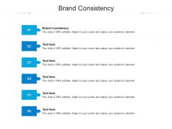 Brand consistency ppt powerpoint presentation model infographic template cpb