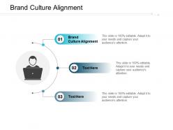 Brand culture alignment ppt powerpoint presentation pictures ideas cpb
