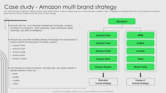 Brand Development And Launch Strategy Case Study Amazon Multi Brand Strategy Ppt File Guide