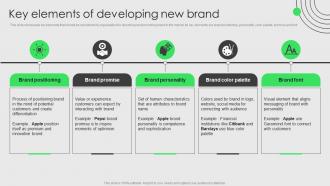 Brand Development And Launch Strategy Key Elements Of Developing New Brand