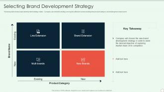 Brand Development Guide Selecting Brand Development Strategy