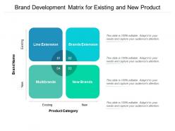 Brand development matrix for existing and new product