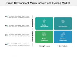 Brand development matrix for new and existing makret