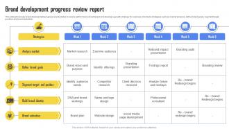 Brand Development Progress Review Report