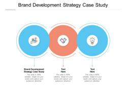 Brand development strategy case study ppt powerpoint presentation outline cpb