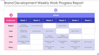 Brand Development Weekly Work Progress Report