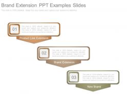 Brand extension ppt examples slides