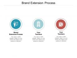 Brand extension process ppt powerpoint presentation professional model cpb