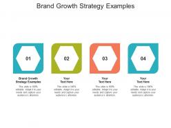 Brand growth strategy examples ppt powerpoint presentation file visual aids cpb