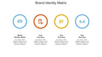 Brand identity matrix ppt powerpoint presentation infographic template graphics cpb
