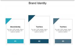 Brand identity ppt powerpoint presentation slides background designs cpb