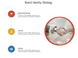 Brand identity strategy ppt powerpoint presentation infographic template gallery cpb