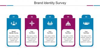 Brand Identity Survey Ppt Powerpoint Presentation Show Slideshow Cpb