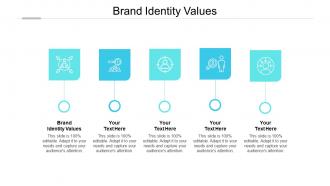 Brand identity values ppt powerpoint presentation pictures example topics cpb
