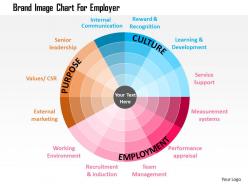 Brand Image Chart For Employer Flat Powerpoint Design