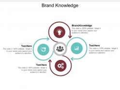 Brand knowledge ppt powerpoint presentation file graphics example cpb