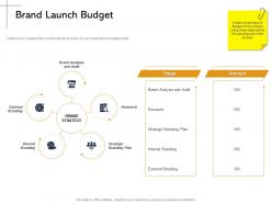 Brand Launch Budget And Audit Ppt Powerpoint Presentation Inspiration Graphics Pictures