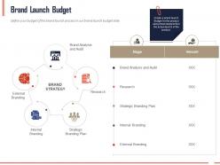 Brand Launch Budget Ppt Powerpoint Presentation Summary Information