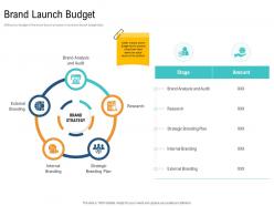 Brand launch budget unique selling proposition of product ppt guidelines