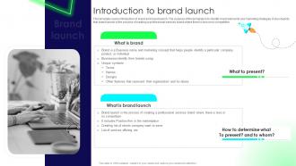 Brand Launch Strategy Introduction To Brand Launch Branding SS V