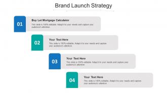 Brand launch strategy ppt powerpoint presentation layouts professional cpb