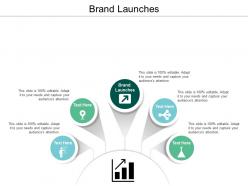 Brand launches ppt powerpoint presentation file shapes cpb