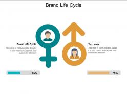 Brand life cycle ppt powerpoint presentation layouts format cpb