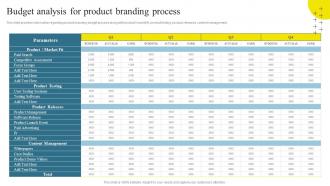 Brand Maintenance Through Effective Product Budget Analysis For Product Branding SS
