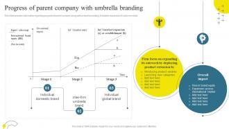 Brand Maintenance Through Effective Product Progress Of Parent Company With Umbrella Branding SS