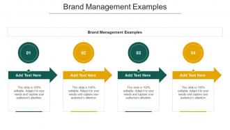 Brand Management Examples In Powerpoint And Google Slides Cpb