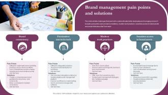 Brand Management Pain Points And Solutions