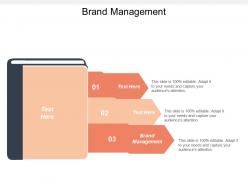 Brand management ppt powerpoint presentation file information cpb