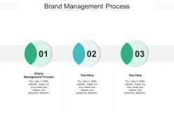 Brand management process ppt powerpoint presentation icon show cpb