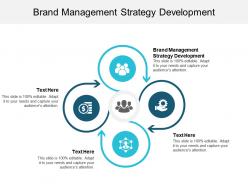 Brand management strategy development ppt powerpoint presentation file files cpb