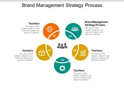 Brand management strategy process ppt powerpoint presentation slides cpb