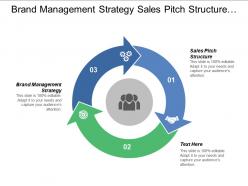 Brand management strategy sales pitch structure cash management